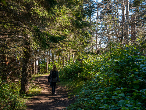 Hiker girl's walking on a trail in the beautiful Forillon Natinal Park , Gaspesie, Quebec, Canada.