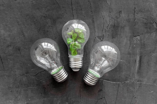 istock Lightbulb with plant - saving energy concept. Top view 1280532991