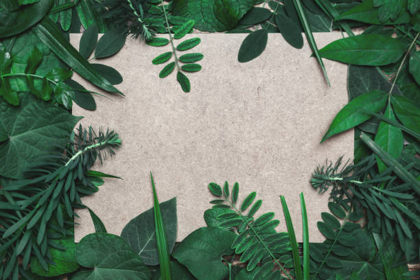 istock Natural frame made of different green leaves 1280538874