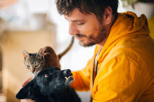 istock Man cuddling with his cat and his dog 1280540380