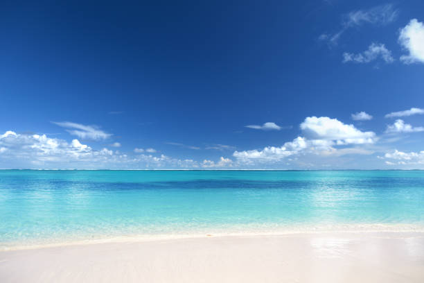 istock Perfect beach, Caribbean sea 1280544642