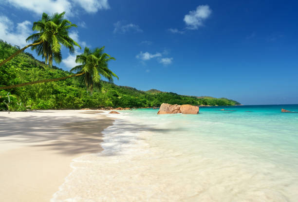 istock Anse Lazio beach at Praslin island, Seychelles 1280544649