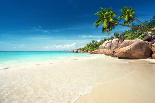 anse lazio beach at praslin island, seychelles - horizon over water white green blue imagens e fotografias de stock