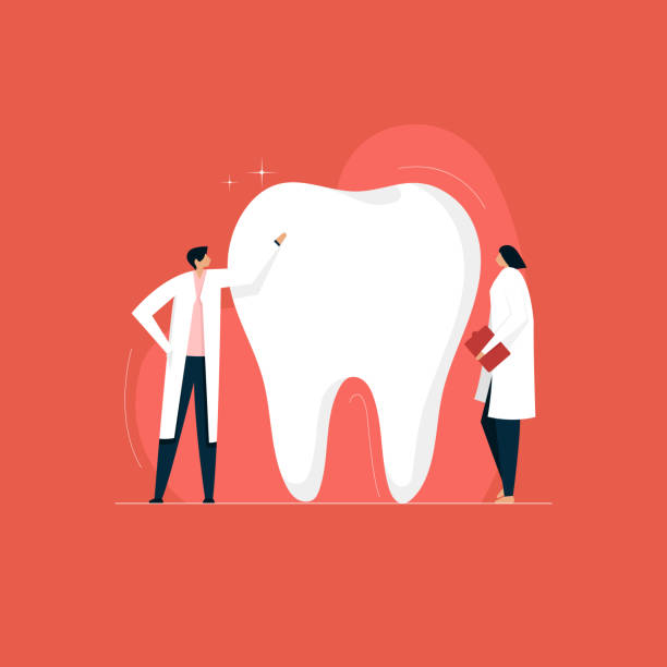 zahnklinik und gesunde zähne, untersuchung durch einen zahnarzt - tooth character stock-grafiken, -clipart, -cartoons und -symbole