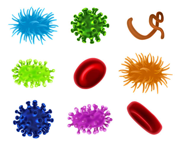 ilustrações, clipart, desenhos animados e ícones de conjunto de células sanguíneas de germes de bactérias do vírus - staphylococcus aureus resistente à meticilina