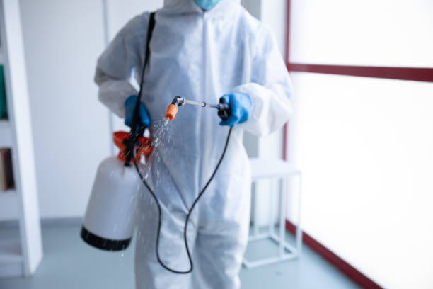 istock Mid section of health worker wearing protective clothes cleaning using disinfectant 1280557446