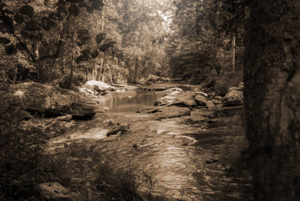 Scenic view of Gunpowder Falls State Park, MD