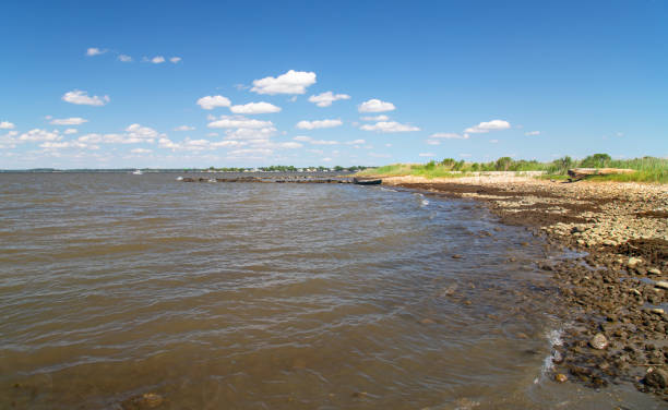 istock Chesapeake Bay beach in summer 1280565854