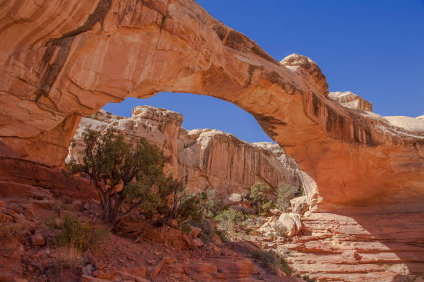 istock Hickman Bridge, a natural arch in Capitol Reef National Park 1280571015