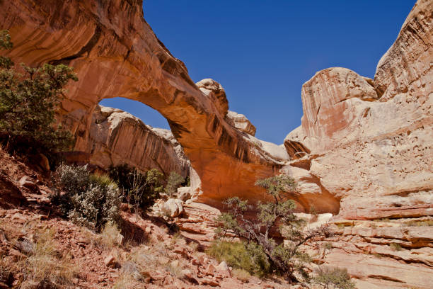 istock Hickman Bridge, a natural arch in Capitol Reef National Park 1280571043