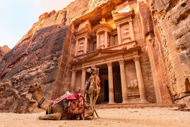 Stunning view of two camels posing in front of the Al Khazneh (The Treasury) in Petra. Al-Khazneh is one of the most elaborate temples in Petra, Jordan. stock photo