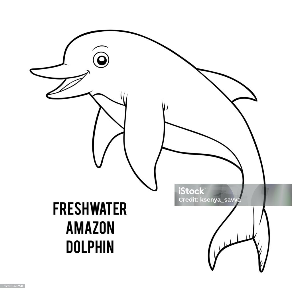 Sách Tô Màu Cá Heo Amazon Nước Ngọt Hình minh họa Sẵn có - Tải ...