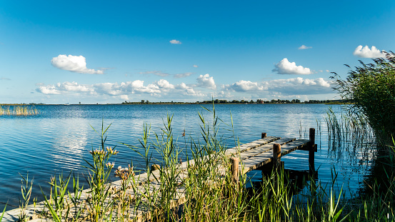 Landscape of a beautiful calm bay at the baltic sea on a sunny day with footbridge and reeds in the forground
