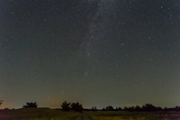 istock night starry sky above a forest silhouette 1280581703
