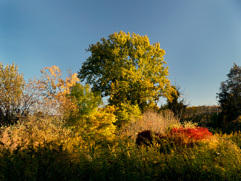 Autumn foliage landscape in upstate New York.