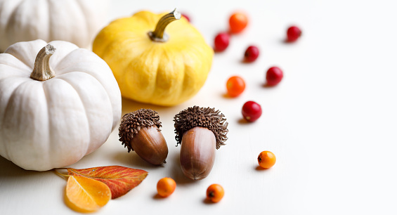 Happy Thanksgiving background with pumpkins, berries, acorns and autumn leaves.