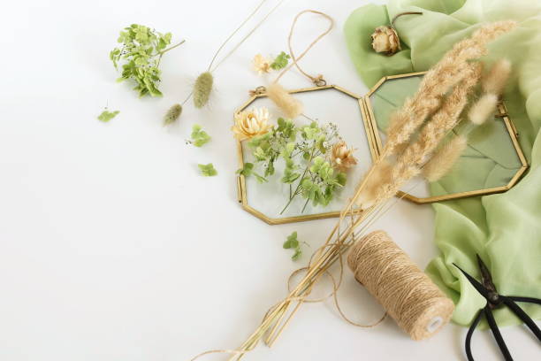 Dried flowers and herbs for making decoration flat lay on white background. Framing dried plants. Top view. Copy space.Hobby handmade with flowers.