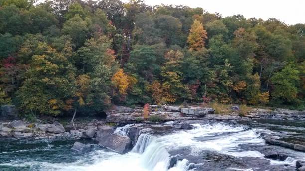 istock Colorful fall photo near water 1280604394