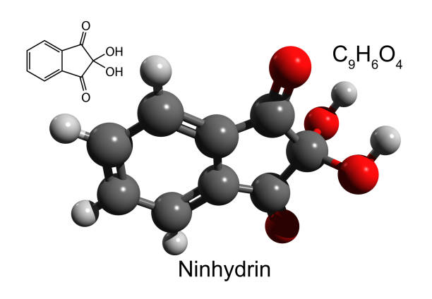 istock Chemical formula, structural formula and 3D ball-and-stick model of ninhydrin 1280607382
