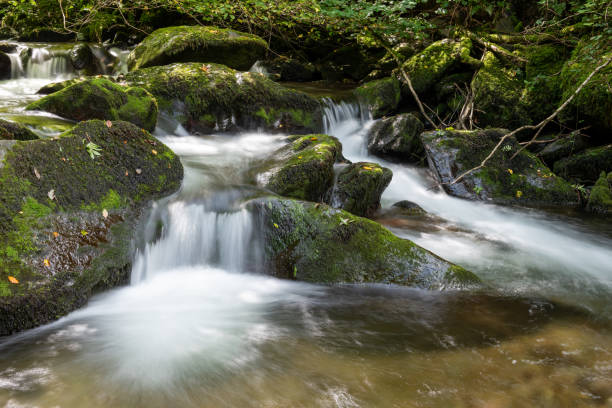istock Watersmeet in Exmoor National Park 1280607874