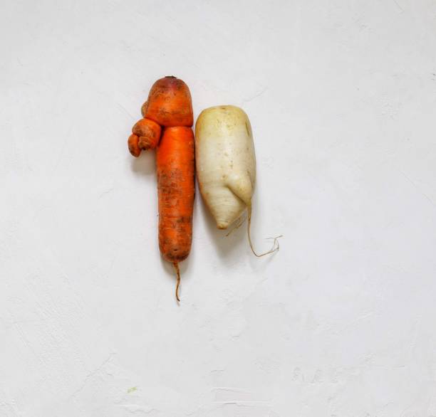 Ugly Carrots and Radishes Daikon in the shape of funny creatures, backs to each other