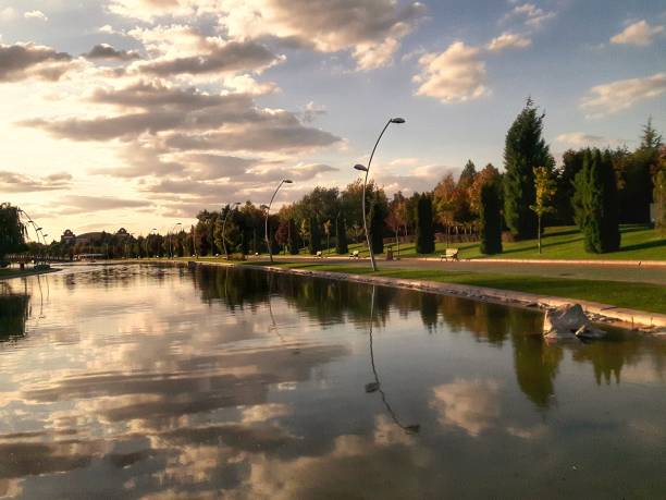 istock reflection, park, city habitat 1280613661