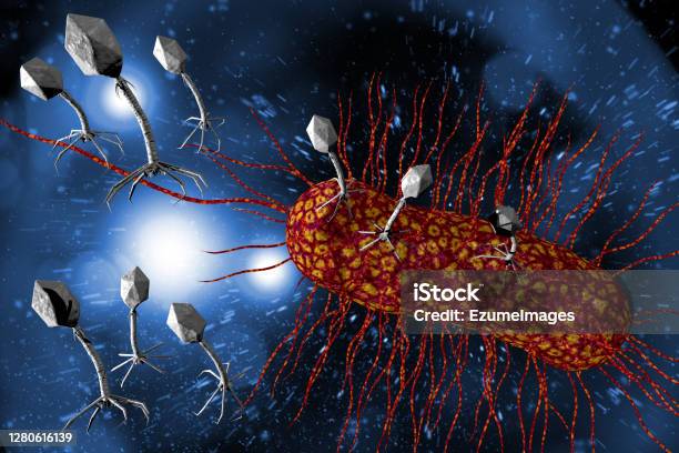 Bacteriophage Virus 3d Illustration Stock Photo - Download Image Now - Animals Attacking, Antibiotic, Archaebacteria