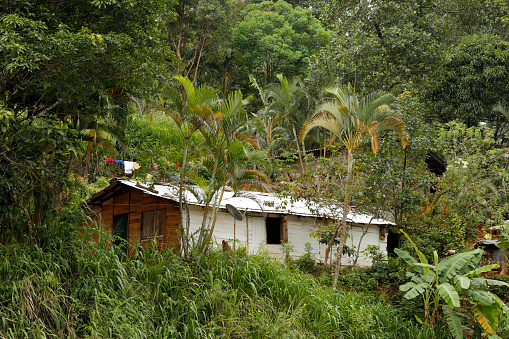 Hut in the the hill country of the Central Province of Sri Lanka.