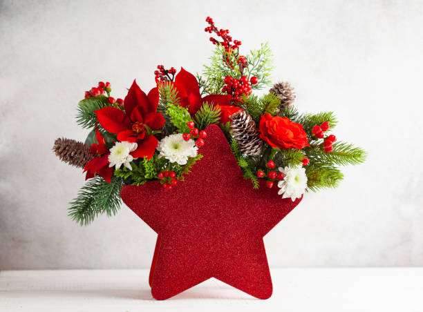 Festive winter flower arrangement in vase of red star shape. Festive winter flower arrangement in vase of red star shape. Christmas flower composition for holiday. rose christmas red white stock pictures, royalty-free photos & images