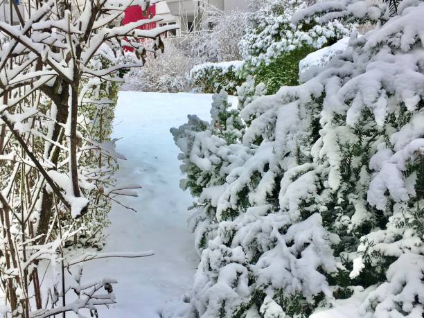 istock Munich city under the snow. 1280625490