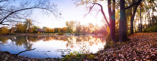malden park - scena d'autunno - malden foto e immagini stock