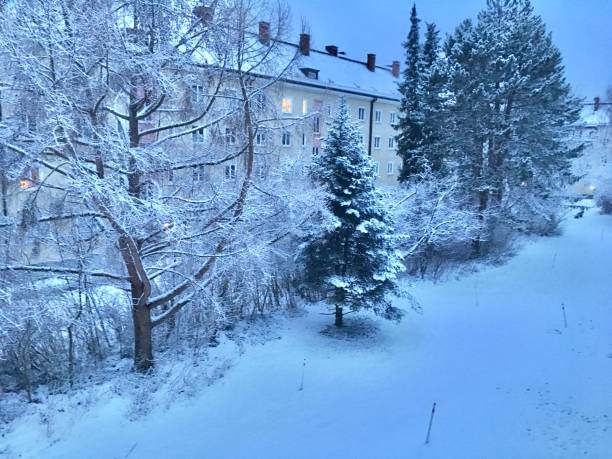istock Munich city under the snow. 1280625904