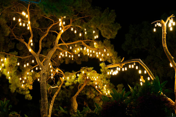 Christmas, Tree, Lights, New year, decoration
