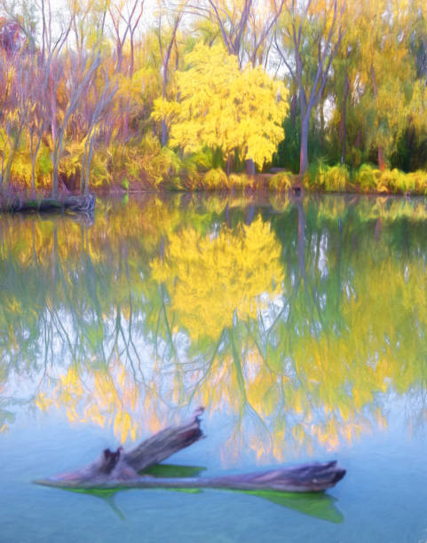 malden park - scena d'autunno - malden foto e immagini stock