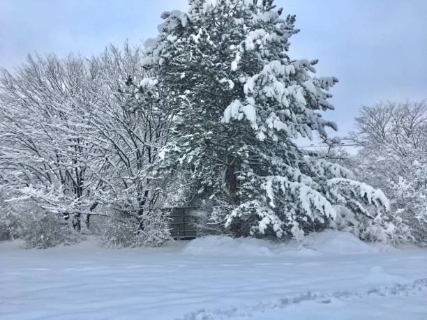 istock Munich city under the snow. 1280627804