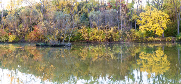istock Malden Park - Autumn Scene 1280627885