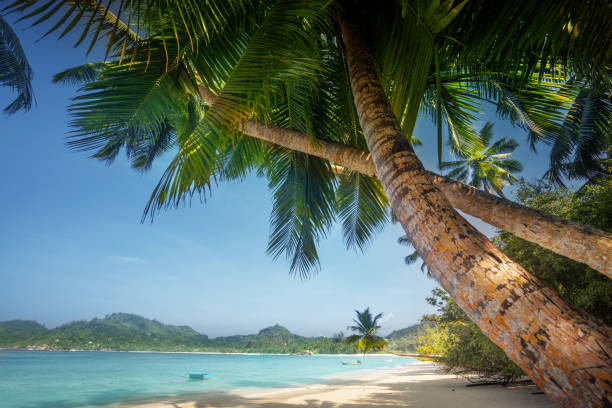 istock sunset on the beach, Mahe island, Seychelles 1280629967