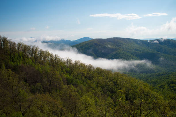 blue ridge mountains, virginia - vista a la naturaleza - great appalachian valley fotografías e imágenes de stock