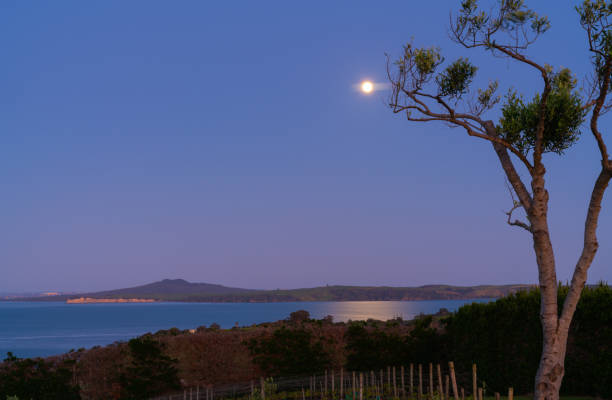 istock Sunrises over Auckland harbour while glow of moon still shows in sky 1280641437