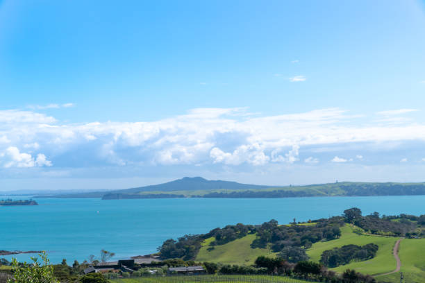 istock View to Rangitoto Island from Mudbrick Winery 1280641441