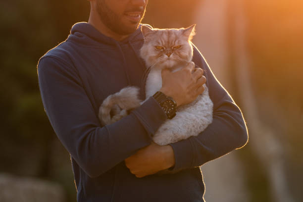 istock Man holds his angry grumpy purebred cat outside on the sunset. Pet with owner 1280642987
