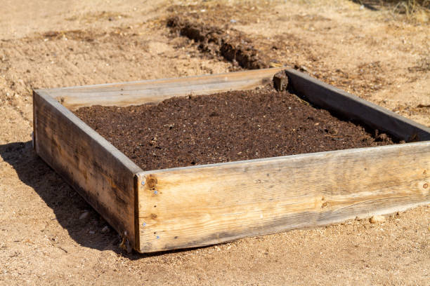 istock A wooden raised garden bed on sand ground 1280643045
