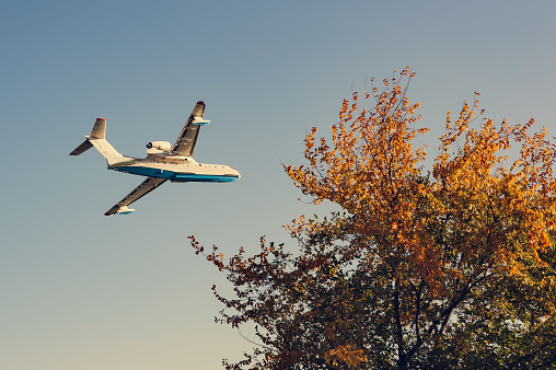 plane flying in the sky against the background of golden autumn tree