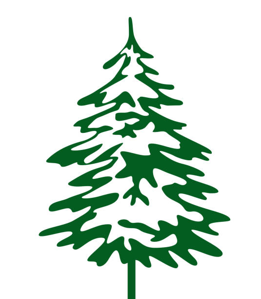 ilustrações, clipart, desenhos animados e ícones de árvore de natal verde. ilustração vetorial e ícone. abeto de inverno. - deco