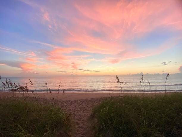 istock Colorful Sunrise from the grassy dunes 1280647271