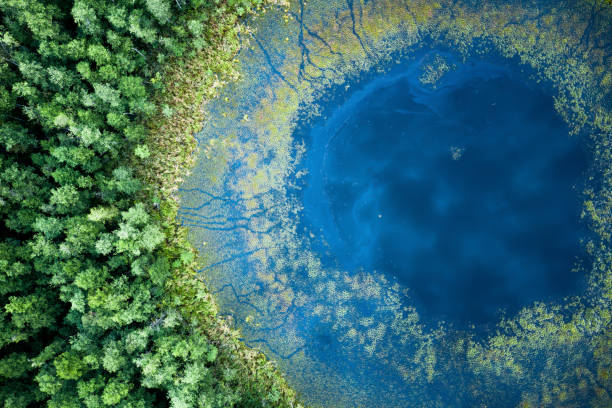 istock Summer landscape with lake 1280648930