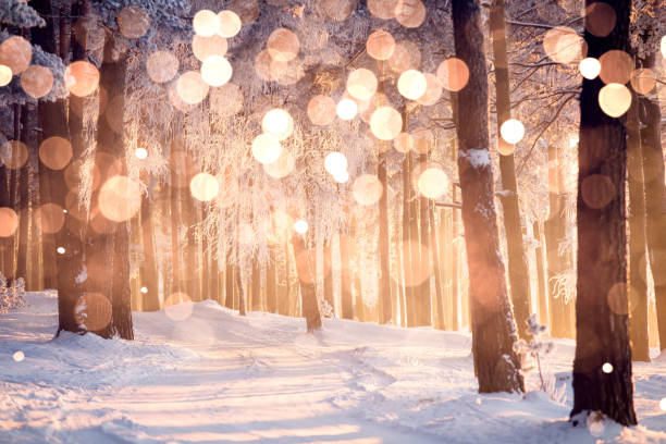 istock Christmas holiday background with color snowflakes 1280648937