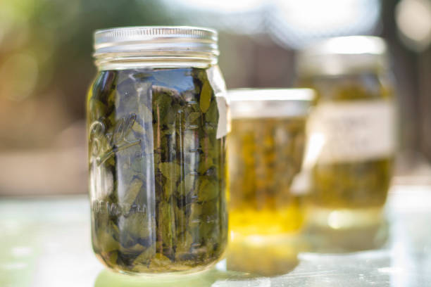 istock mason jars with homeade herbal infusions 1280653358