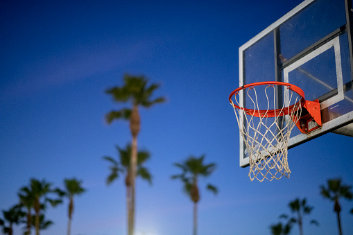 Basketball hoop and palm trees with an intense blue sky in Los Angeles, CA, United States