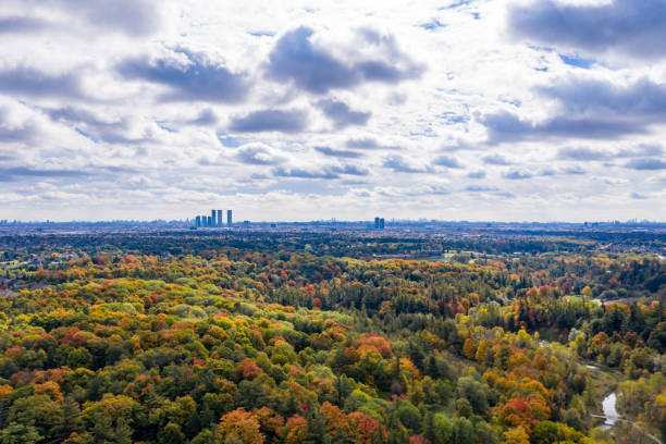 istock Rutherford Road and Boyd Conservation Park in fall, Woodbridge, Vaughan, Canada 1280659003